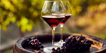 Al New Green Hill si brinda con il vino della Tenuta Argentiera